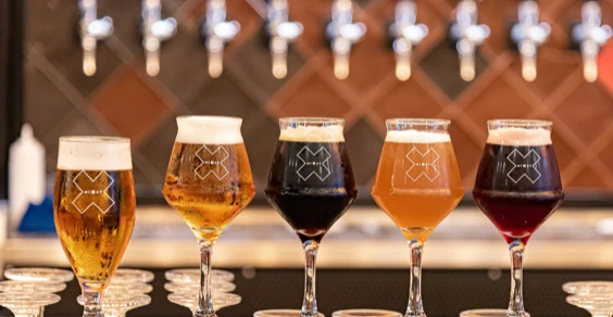 291878264_146752314623167_7122862277356703502_n-564